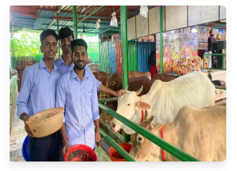 Animal welfare and care at local Goshala